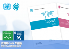国际麻醉品管制局年度报告（2024年）